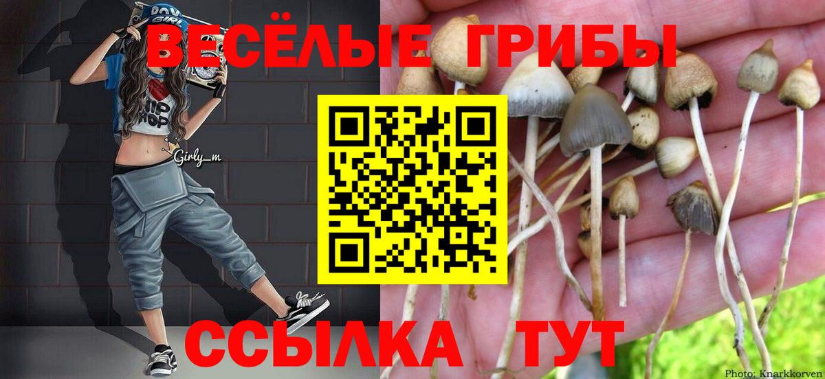 Галлюциногенные грибы мицелий  Псилоцибиновые грибы GOLDEN TEACHER  Ахтубинск  Вход с VPN 